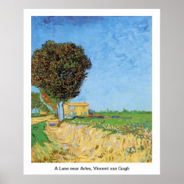 En Lane nära Arles, Vincent van Gogh. Poster