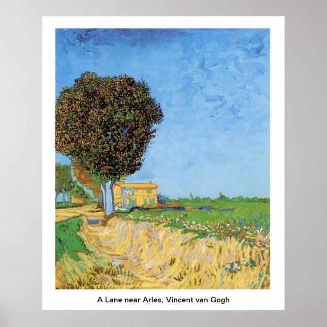 En Lane nära Arles, Vincent van Gogh. Poster (Framsidan)