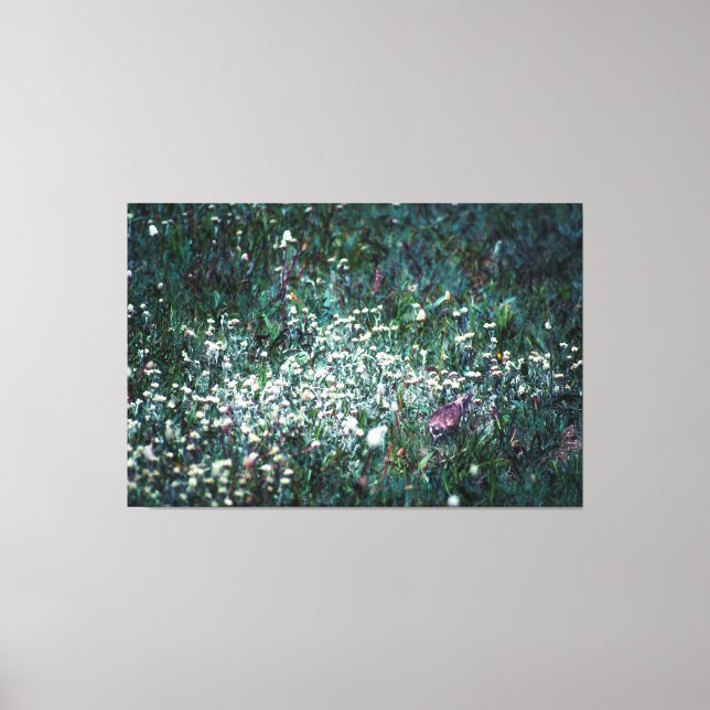 En Lark i en Meadow Canvastryck (Framsida)