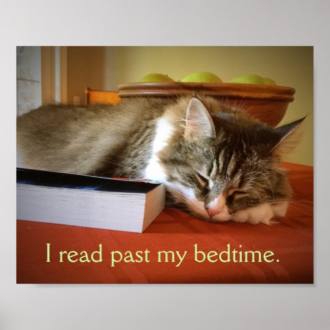 En läsares Poster (Framsidan)