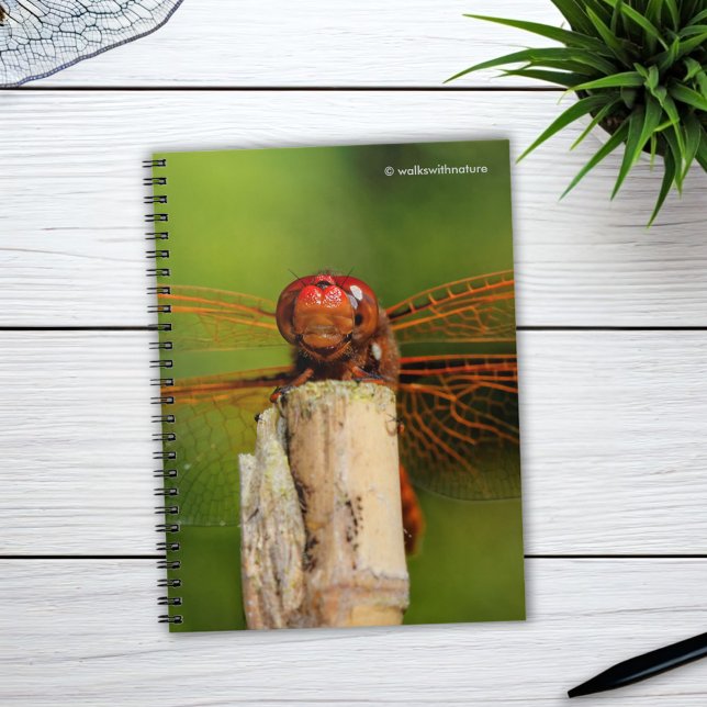 En leende Red Dragonfly Anteckningsbok Med Spiral (A Smiling Red Dragonfly Journal Cover Photo)