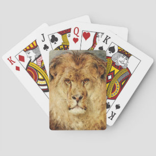 En Lejon chef (av Heywood Hardy) Casinokort
