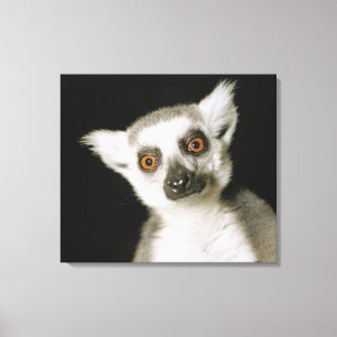 En lemur. canvastryck
