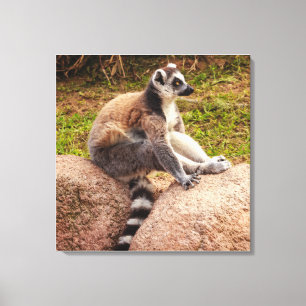 en lemur från madagaskar på sträckt canvas
