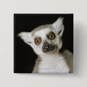En lemur. knapp