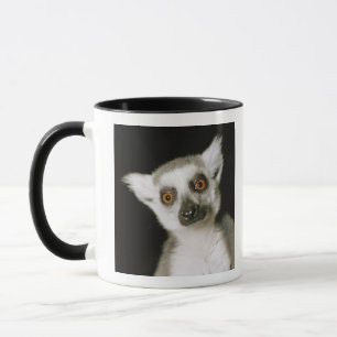 En lemur. mugg