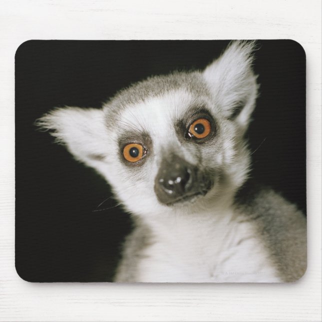 En lemur. musmatta (Framsidan)