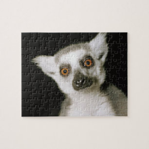 En lemur. pussel