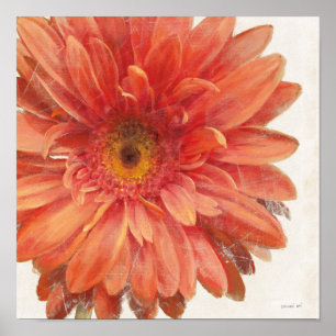 En levande Daisy Poster