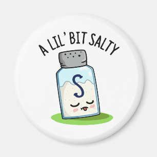 En Lil Bit Salty Funny Salt Shaker Pun Magnet