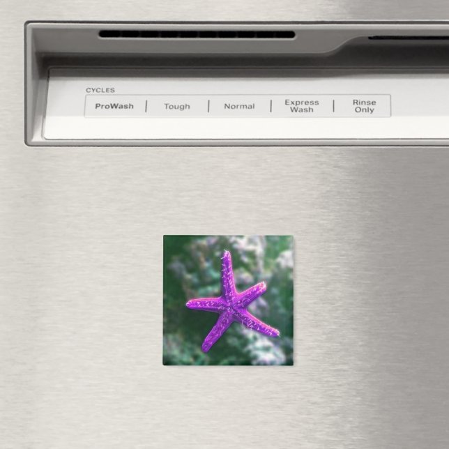 En Lila Starfish Rocky Beach Magnet (In Situ (Dishwasher))