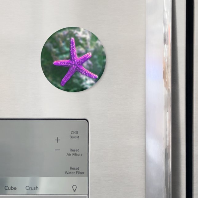 En Lila Starfish Rocky Beach Magnet (In Situ (Fridge))