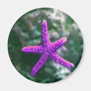 En Lila Starfish Rocky Beach Magnet