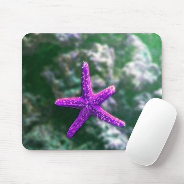 En Lila Starfish Rocky Beach Musmatta (Med mus)