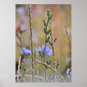 En Lila Wildblomma Poster