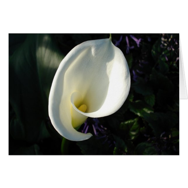 En liljekonvalj hälsningskort (Framsidan Horizontal)