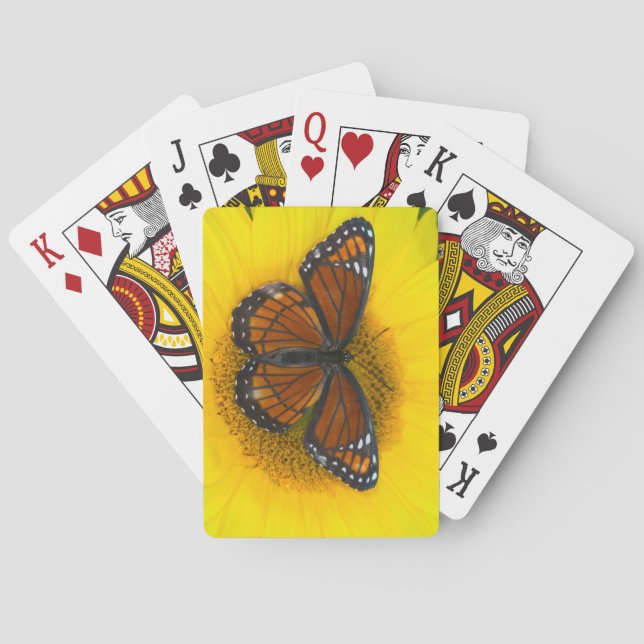 En Limenitis Archippus för Viceroyfjäril | Casinokort (Baksidan)