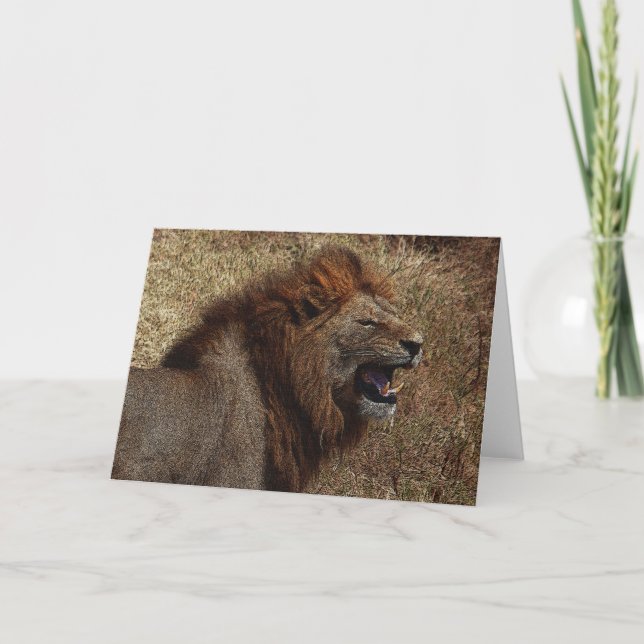 En lions vrålar hälsningkortet kort (Framsida)