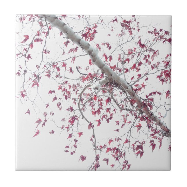 En liten bit rosa löv kakelplatta (Framsidan)