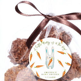 En liten Bunny är på väg! Baby Shower Runt Klistermärke