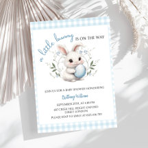 En liten bunny är på Way Blue Boy Shower