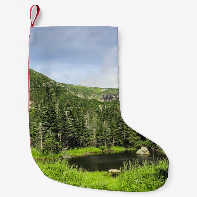 En liten damm i bergsdalen i julstrumpa (Framsidan)