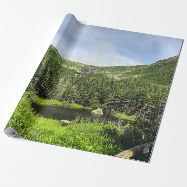 En liten damm i bergsdalen i presentpapper (Utrullad)