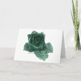 En liten fågel berättade för mig Ro Kort