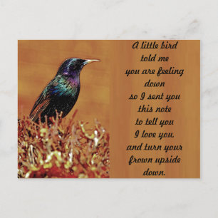 En liten fågel sa mig Starling Bird Photogratograf Vykort