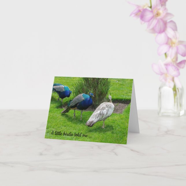 "En liten fågel sa.." Peacocks Kort (Orkide)