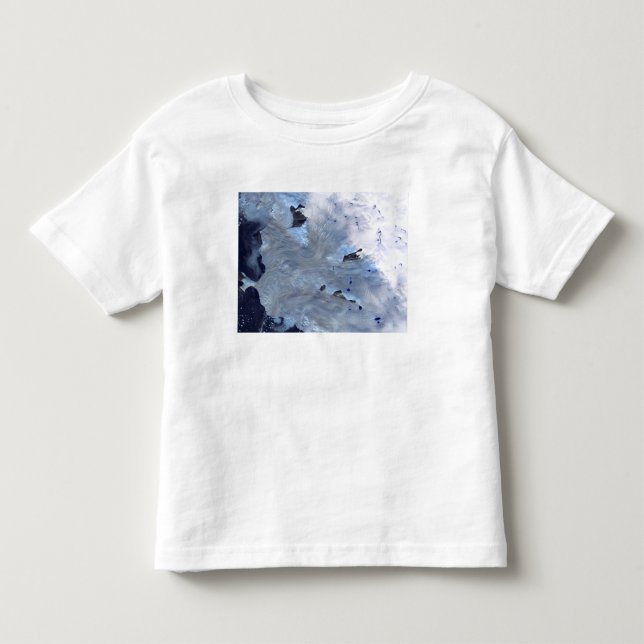 En liten fält av glaciärer omger Baffin Bay T-shirt (Framsida)