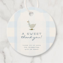 En liten gåunge pojke baby shower