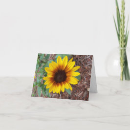 En liten gult solros i blomsterträdgården anteckningskort