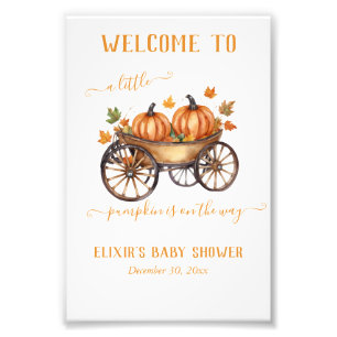 En liten knumpkin Fall Baby Shower Gender Neutral Fototryck