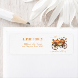 En liten knumpkin Fall Baby Shower Gender Neutral Returadress Etikett