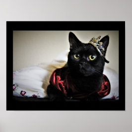 En liten prinsessa poster