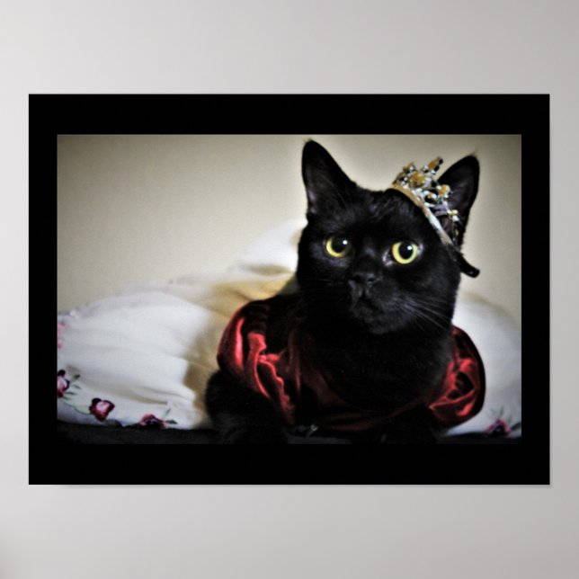 En liten prinsessa poster (Framsidan)