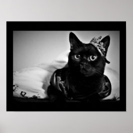 En liten prinsessa Poster