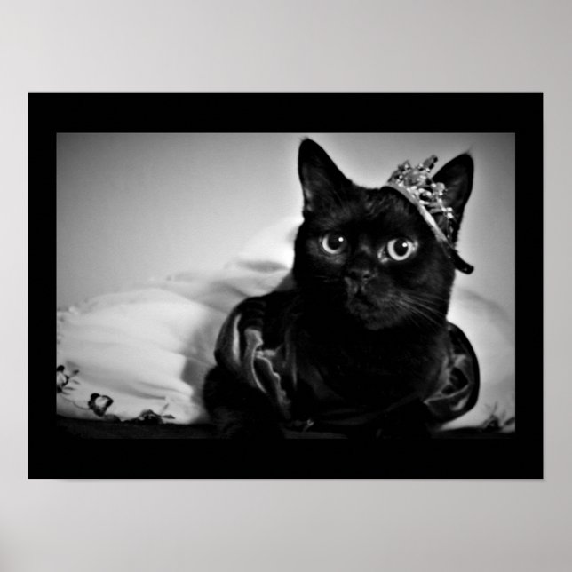 En liten prinsessa Poster (Framsidan)