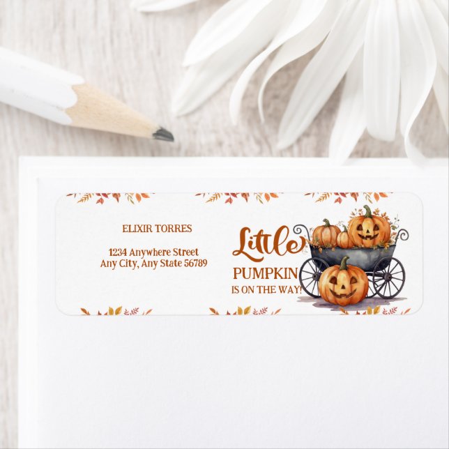 En liten pumpkin Halloween Fall Baby Shower Returadress Etikett (Insitu)