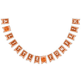 En liten Pumpkin Party Banner Vimplar