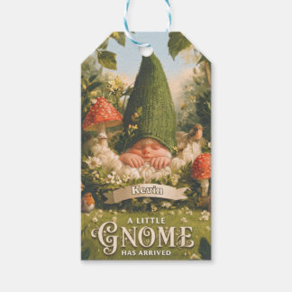 En liten tomte har anlänt Bebisannonsering Presentetikett