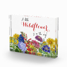En liten Wildblomma på Way Baby i Bloom-signalen