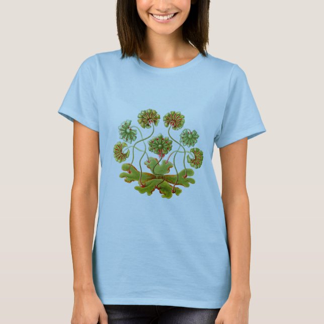 En Liverwort Tee (Framsida)