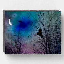 En ljusglimtande Måne