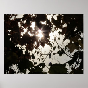 En ljuspunkt i en mörk skog poster