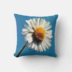En ljusvit Daisy under Big Blå himmel Kudde