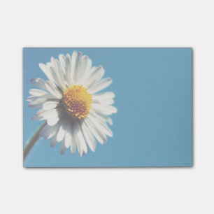 En ljusvit Daisy under Big Blå himmel Post-it Block