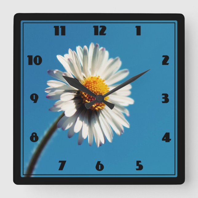 En ljusvit Daisy under Stora Blå himmel Fyrkantig Klocka (Framsida)
