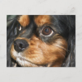 En lojal hund Cavalier King Charles Spaniel vykort